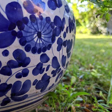 Bed & Breakfast Casa Marconi Pisa