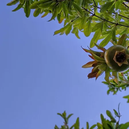 Casa Marconi Bed & Breakfast *