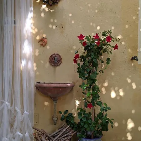 Bed & Breakfast Casa Marconi *