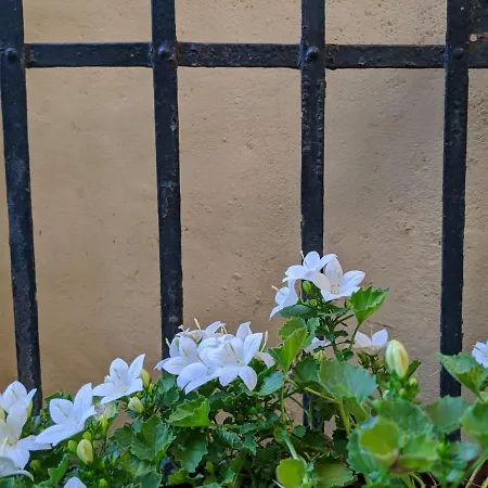 Casa Marconi Couette-café *