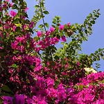 Bed & Breakfast Casa Marconi Pisa